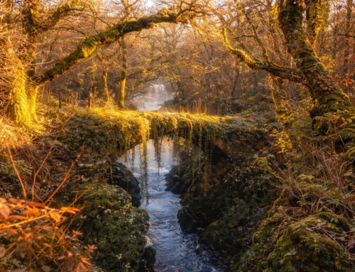 Penmachno Roman Bridge